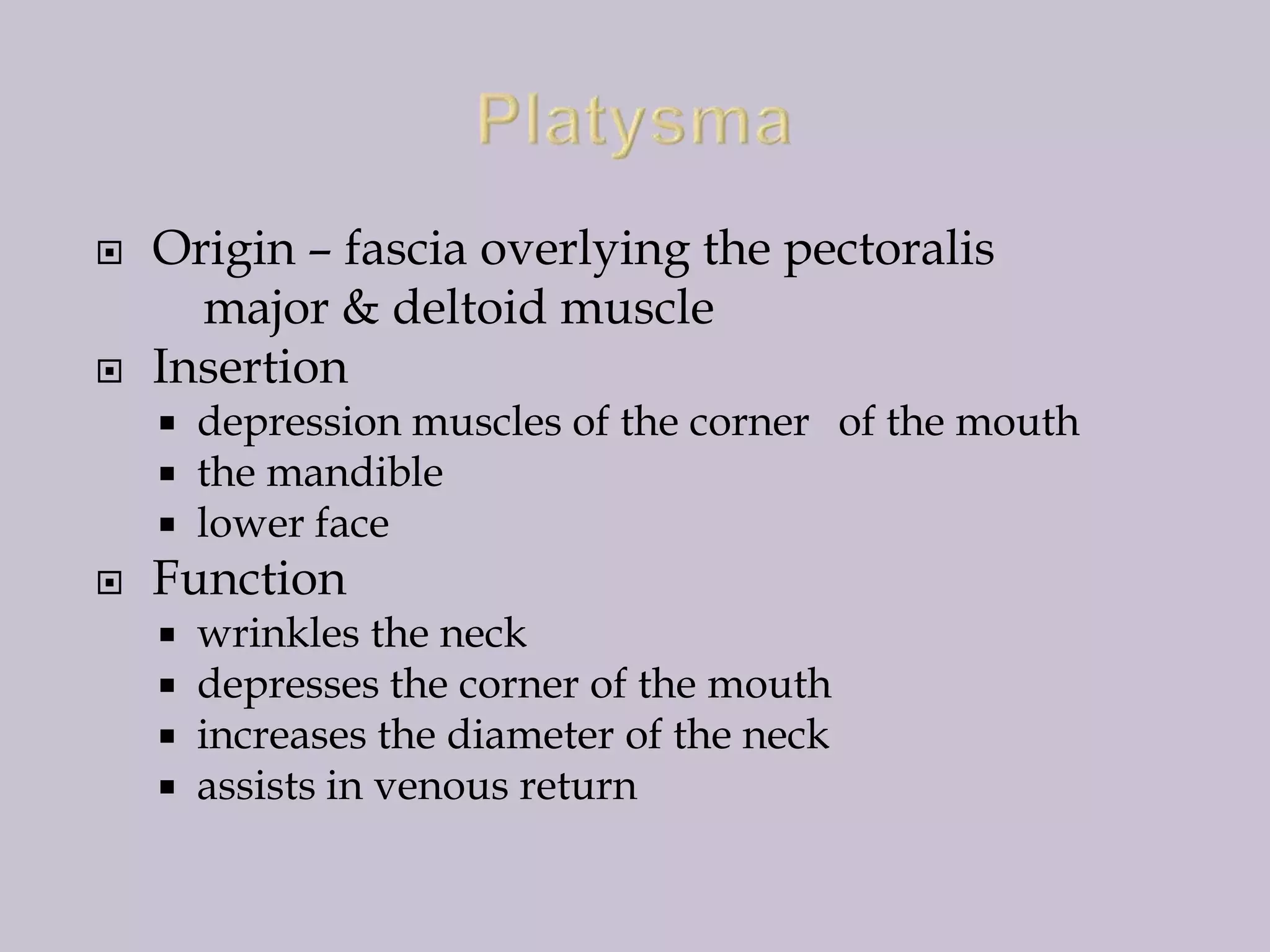 



Origin – fascia overlying the pectoralis
major & deltoid muscle
Insertion






depression muscles of the corner of the mouth
the mandible
lower face

Function





wrinkles the neck
depresses the corner of the mouth
increases the diameter of the neck
assists in venous return

 