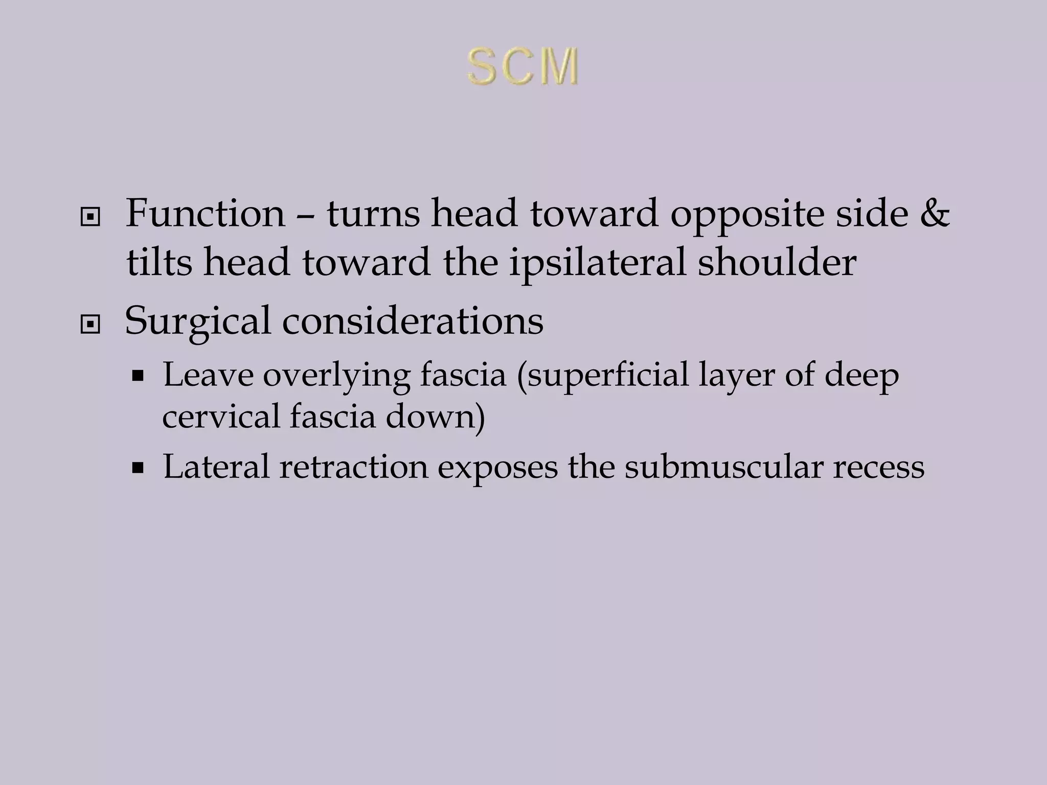 



Function – turns head toward opposite side &
tilts head toward the ipsilateral shoulder
Surgical considerations
Leave overlying fascia (superficial layer of deep
cervical fascia down)
 Lateral retraction exposes the submuscular recess


 