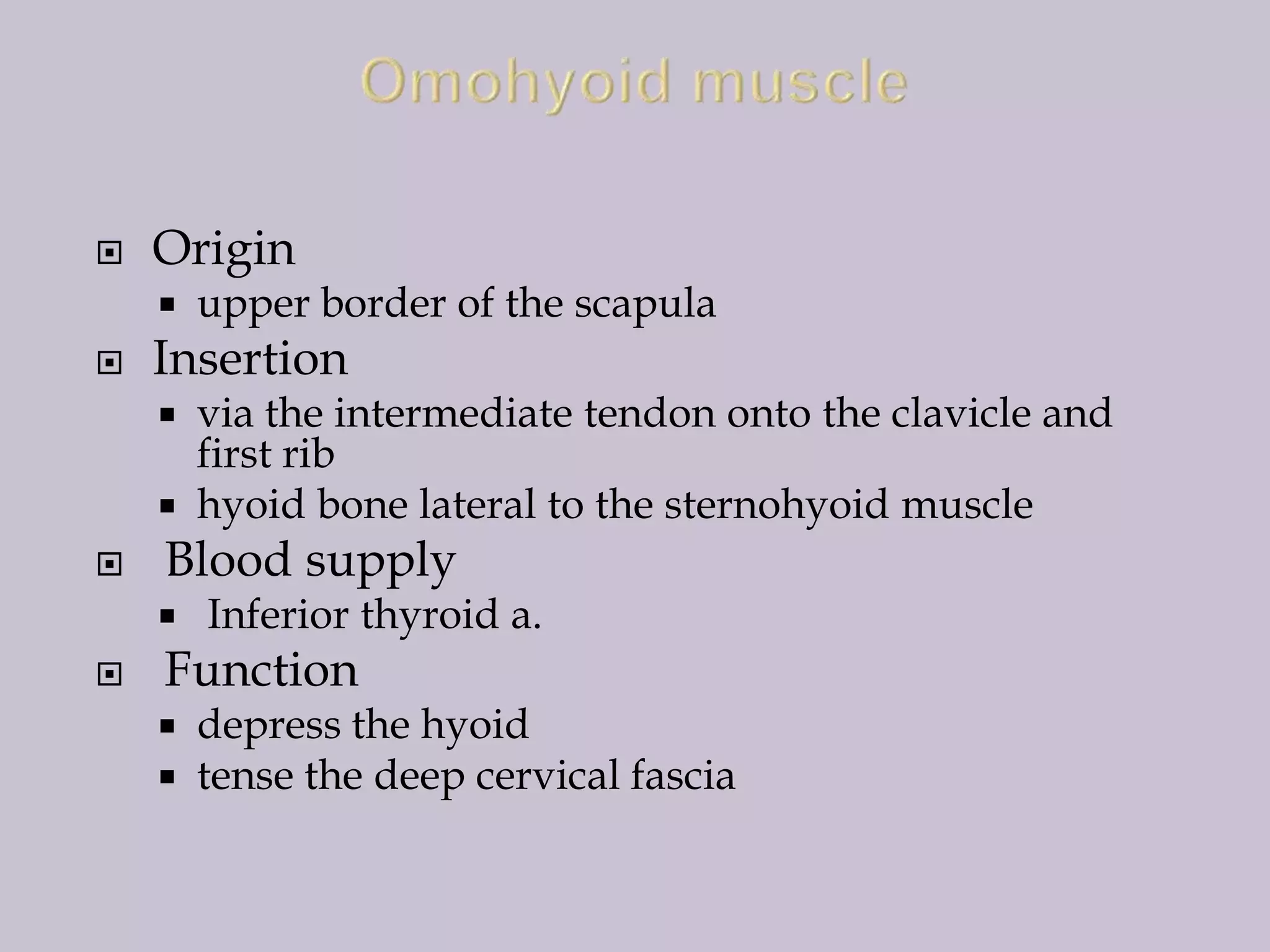 

Origin




Insertion





via the intermediate tendon onto the clavicle and
first rib
hyoid bone lateral to the sternohyoid muscle

Blood supply




upper border of the scapula

Inferior thyroid a.

Function

depress the hyoid
 tense the deep cervical fascia


 