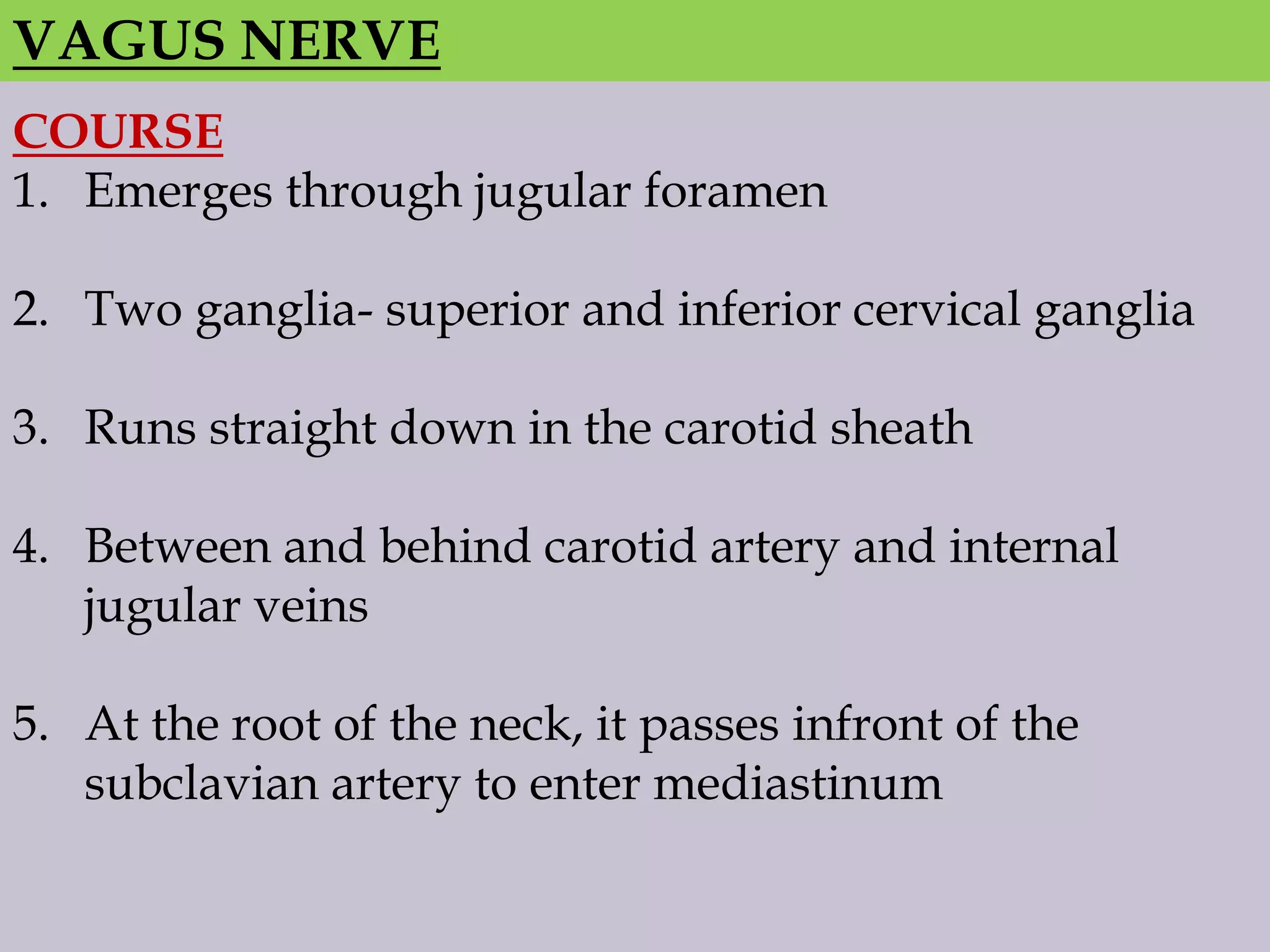 VAGUS NERVE
COURSE
1. Emerges through jugular foramen

2. Two ganglia- superior and inferior cervical ganglia
3. Runs straight down in the carotid sheath

4. Between and behind carotid artery and internal
jugular veins
5. At the root of the neck, it passes infront of the
subclavian artery to enter mediastinum

 
