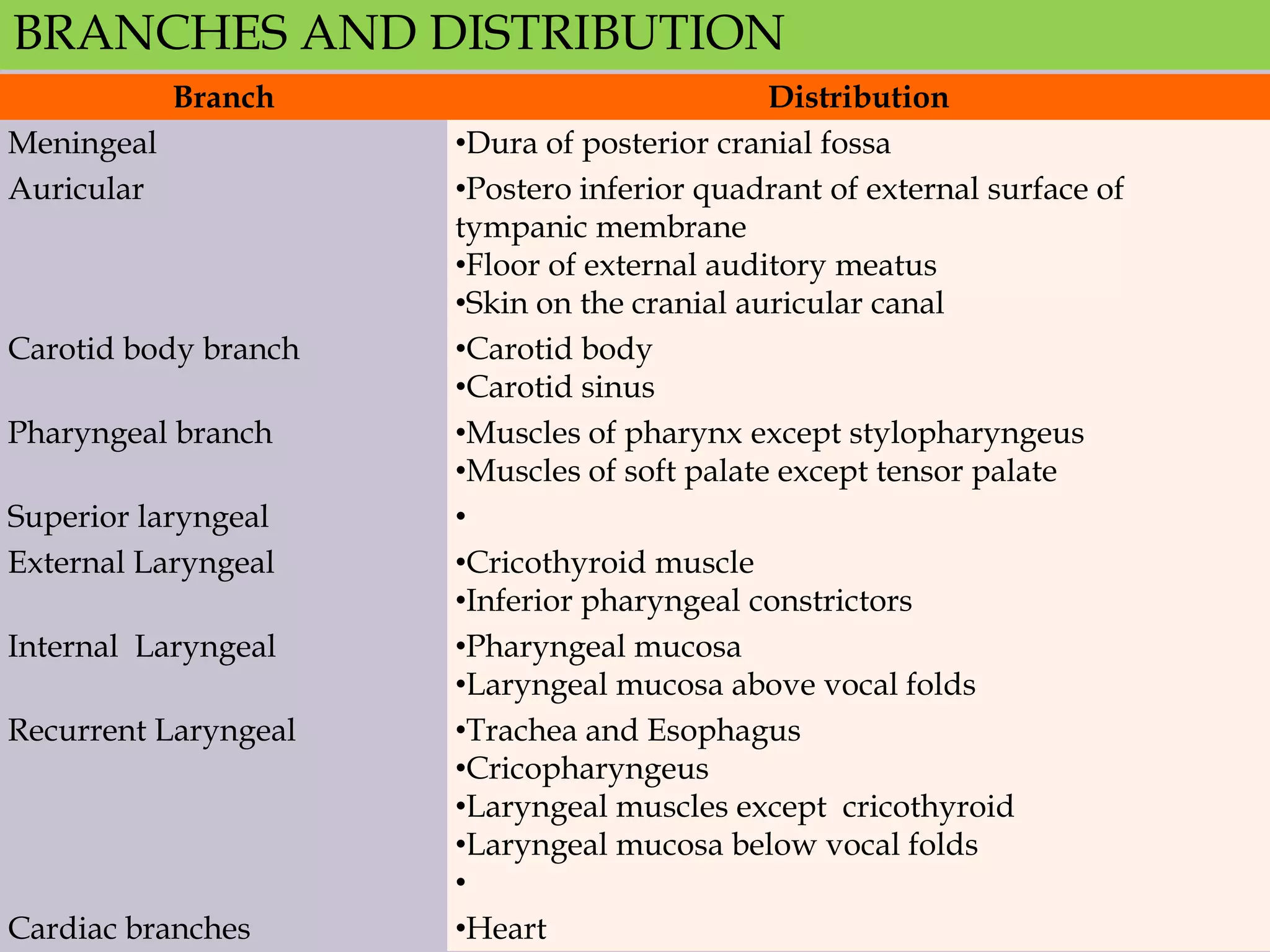 BRANCHES AND DISTRIBUTION
Branch
Meningeal
Auricular

Carotid body branch
Pharyngeal branch
Superior laryngeal
External Laryngeal
Internal Laryngeal
Recurrent Laryngeal

Cardiac branches

Distribution
•Dura of posterior cranial fossa
•Postero inferior quadrant of external surface of
tympanic membrane
•Floor of external auditory meatus
•Skin on the cranial auricular canal
•Carotid body
•Carotid sinus
•Muscles of pharynx except stylopharyngeus
•Muscles of soft palate except tensor palate
•
•Cricothyroid muscle
•Inferior pharyngeal constrictors
•Pharyngeal mucosa
•Laryngeal mucosa above vocal folds
•Trachea and Esophagus
•Cricopharyngeus
•Laryngeal muscles except cricothyroid
•Laryngeal mucosa below vocal folds
•
•Heart

 