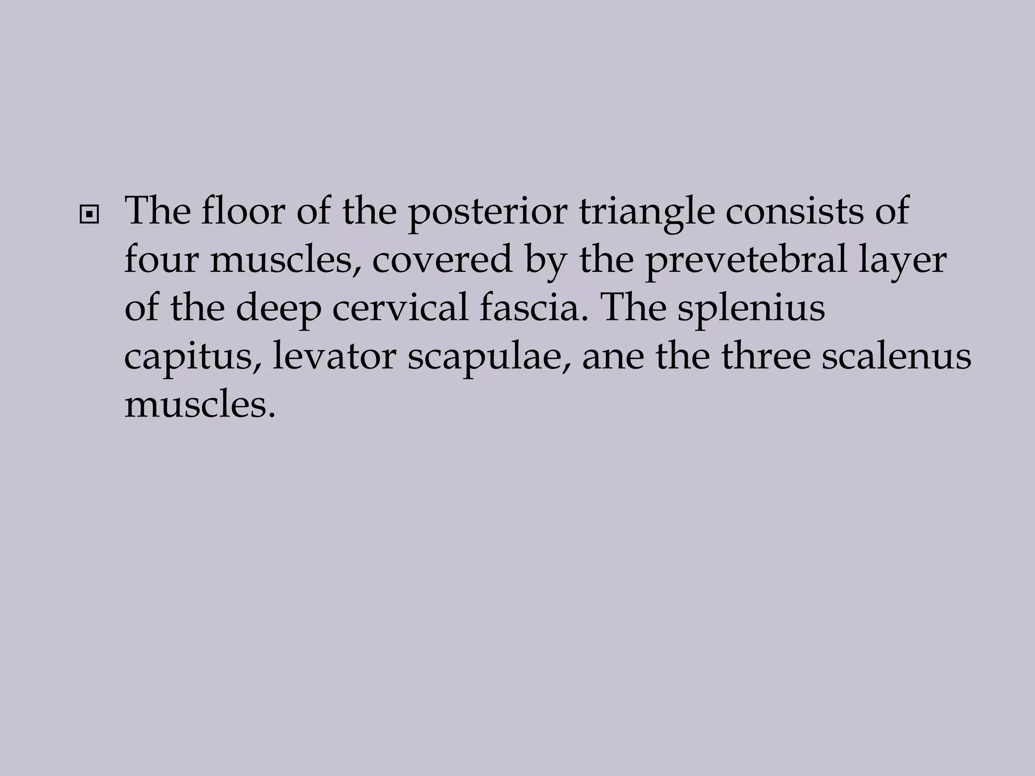 

The floor of the posterior triangle consists of
four muscles, covered by the prevetebral layer
of the deep cervical fascia. The splenius
capitus, levator scapulae, ane the three scalenus
muscles.

 