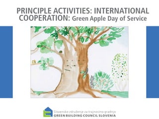PRINCIPLE ACTIVITIES: INTERNATIONAL
COOPERATION: Green Apple Day of Service

 