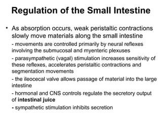 Regulation of the Small Intestine
• As absorption occurs, weak peristaltic contractions
slowly move materials along the small intestine
- movements are controlled primarily by neural reflexes
involving the submucosal and myenteric plexuses
- parasympathetic (vagal) stimulation increases sensitivity of
these reflexes, accelerates peristaltic contractions and
segmentation movements
- the ileocecal valve allows passage of material into the large
intestine
- hormonal and CNS controls regulate the secretory output
of intestinal juice
- sympathetic stimulation inhibits secretion

 