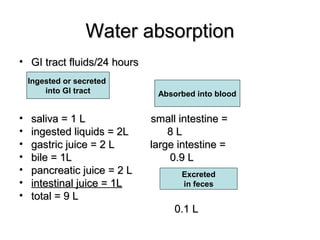 Water absorption
• GI tract fluids/24 hours
Ingested or secreted
into GI tract

•
•
•
•
•
•
•

saliva = 1 L
ingested liquids = 2L
gastric juice = 2 L
bile = 1L
pancreatic juice = 2 L
intestinal juice = 1L
total = 9 L

Absorbed into blood

small intestine =
8L
large intestine =
0.9 L
Excreted
in feces

0.1 L

 