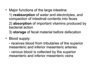 • Major functions of the large intestine:
1) reabsorption of water and electrolytes, and
compaction of intestinal contents into feces
2) absorption of important vitamins produced by
bacterial action
3) storage of fecal material before defecation
• Blood supply:
- receives blood from tributaries of the superior
mesenteric and inferior mesenteric arteries
- venous blood is collected by the superior
mesenteric and inferior mesenteric veins

 