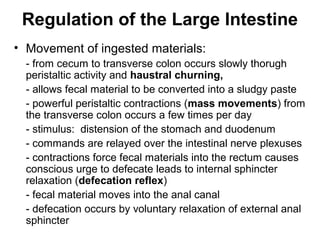 Regulation of the Large Intestine
• Movement of ingested materials:
- from cecum to transverse colon occurs slowly thorugh
peristaltic activity and haustral churning,
- allows fecal material to be converted into a sludgy paste
- powerful peristaltic contractions (mass movements) from
the transverse colon occurs a few times per day
- stimulus: distension of the stomach and duodenum
- commands are relayed over the intestinal nerve plexuses
- contractions force fecal materials into the rectum causes
conscious urge to defecate leads to internal sphincter
relaxation (defecation reflex)
- fecal material moves into the anal canal
- defecation occurs by voluntary relaxation of external anal
sphincter

 