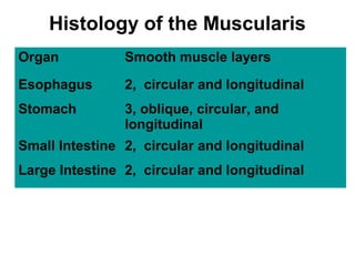 Histology of the Muscularis
Organ

Smooth muscle layers

Esophagus

2, circular and longitudinal

Stomach

3, oblique, circular, and
longitudinal

Small Intestine 2, circular and longitudinal
Large Intestine 2, circular and longitudinal

 