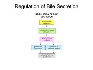 Regulation of Bile Secretion
REGULATION OF BILE
SECRETION
acid chyme in
duodenum

enteroendocrine cells
stimulated

cholecystokinin
secretion

gallbladder
contraction

relaxation of
sphincter of Oddi

release of bile into
duodenum

 
