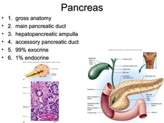 Pancreas
•
•
•
•
•
•

1.
2.
3.
4.
5.
6.

gross anatomy
main pancreatic duct
hepatopancreatic ampulla
accessory pancreatic duct
99% exocrine
1% endocrine

 