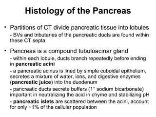 Histology of the Pancreas
• Partitions of CT divide pancreatic tissue into lobules
- BVs and tributaries of the pancreatic ducts are found within
these CT septa

• Pancreas is a compound tubuloacinar gland
- within each lobule, ducts branch repeatedly before ending
in pancreatic acini
- a pancreatic acinus is lined by simple cuboidal epithelium,
secretes a mixture of water, ions, and digestive enzymes
(pancreatic juice) into the duodenum
- pancreatic ducts secrete buffers (1° sodium bicarbonate)
important in neutralizing the acid in chyme and stabilizing pH
- pancreatic islets are scattered between the acini, account
for only ~1% of the cellular population

 