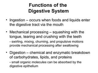 Functions of the
Digestive System
• Ingestion – occurs when foods and liquids enter
the digestive tract via the mouth
• Mechanical processing – squashing with the
tongue, tearing and crushing with the teeth
- swirling, mixing, churning, and propulsive motions
provide mechanical processing after swallowing

• Digestion – chemical and enzymatic breakdown
of carbohydrates, lipids, and proteins
- small organic molecules can be absorbed by the
digestive epithelium

 
