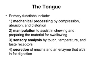 The Tongue
• Primary functions include:
1) mechanical processing by compression,
abrasion, and distortion
2) manipulation to assist in chewing and
preparing the material for swallowing
3) sensory analysis by touch, temperature, and
taste receptors
4) secretion of mucins and an enzyme that aids
in fat digestion

 