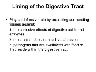 Lining of the Digestive Tract
• Plays a defensive role by protecting surrounding
tissues against:
1. the corrosive effects of digestive acids and
enzymes
2. mechanical stresses, such as abrasion
3. pathogens that are swallowed with food or
that reside within the digestive tract

 
