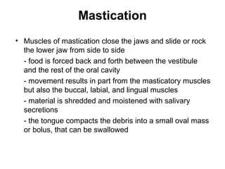 Mastication
• Muscles of mastication close the jaws and slide or rock
the lower jaw from side to side
- food is forced back and forth between the vestibule
and the rest of the oral cavity
- movement results in part from the masticatory muscles
but also the buccal, labial, and lingual muscles
- material is shredded and moistened with salivary
secretions
- the tongue compacts the debris into a small oval mass
or bolus, that can be swallowed

 