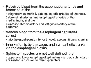 • Receives blood from the esophageal arteries and
branches of the
1) thyrocervical trunk & external carotid arteries of the neck,
2) bronchial arteries and esophageal arteries of the
mediastinum, and the
3) inferior phrenic artery and left gastric artery of the
abdomen

• Venous blood from the esophageal capillaries
collect
- into the esophageal, inferior thyroid, azygos, & gastric veins

• Innervation is by the vagus and sympathetic trunks
via the esophageal plexus
• Sphincter muscles are not well-defined, the
- upper and lower esophageal sphincters (cardiac sphincter),
are similar in function to other sphincters

 