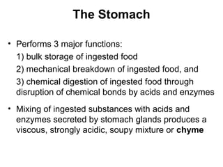 The Stomach
• Performs 3 major functions:
1) bulk storage of ingested food
2) mechanical breakdown of ingested food, and
3) chemical digestion of ingested food through
disruption of chemical bonds by acids and enzymes
• Mixing of ingested substances with acids and
enzymes secreted by stomach glands produces a
viscous, strongly acidic, soupy mixture or chyme

 