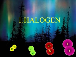 1.HALOGEN
F
Cl
Br
I
Br
F
Cl
I
 
