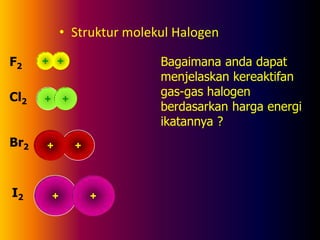 • Struktur molekul Halogen
+
+
+
+
+
+
+
+
F2
Cl2
Br2
I2
Bagaimana anda dapat
menjelaskan kereaktifan
gas-gas halogen
berdasarkan harga energi
ikatannya ?
 