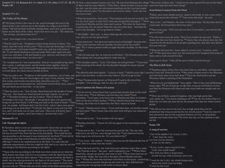 14.04.04 exegesis   lent 4