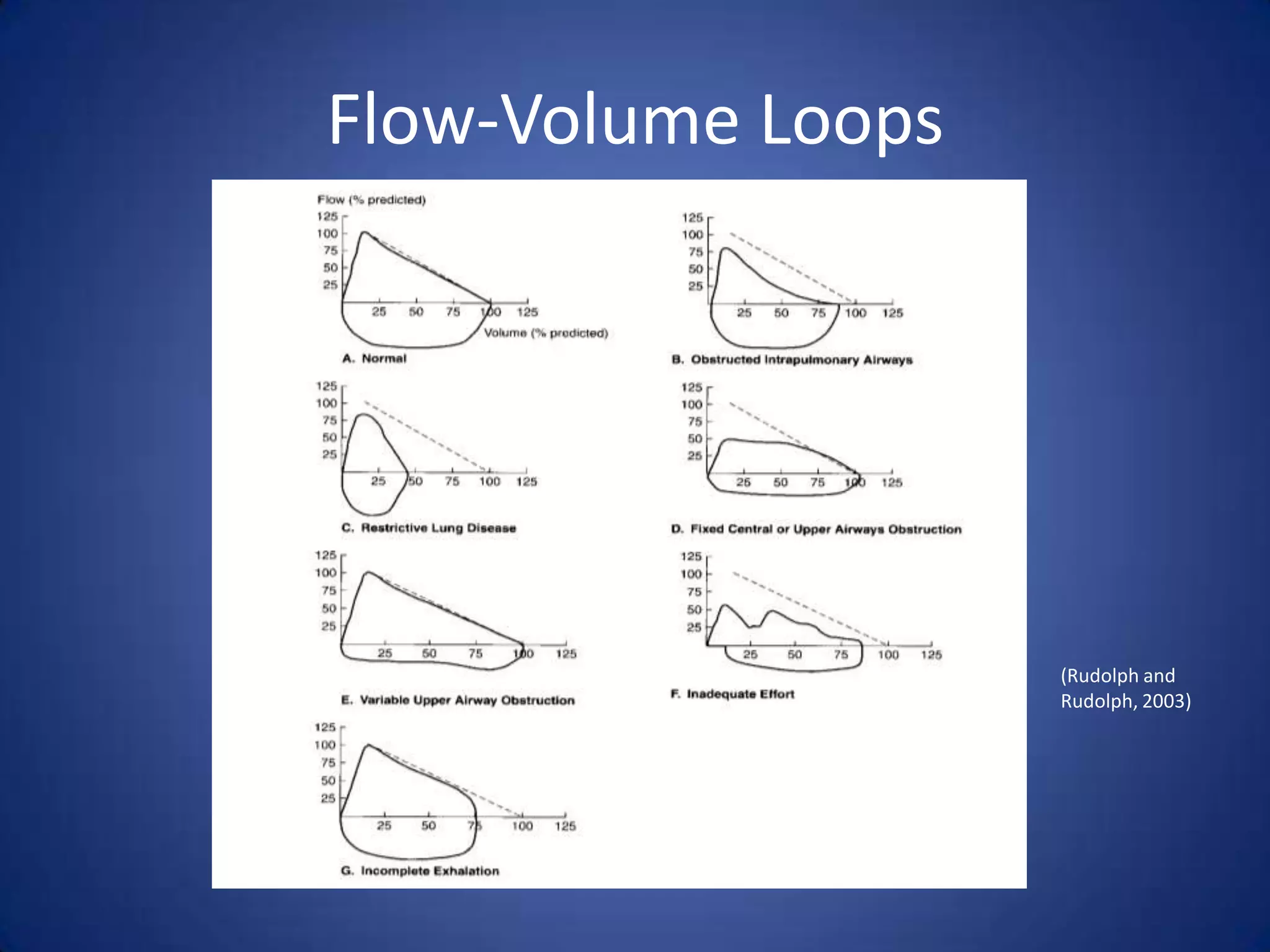 Flow-Volume Loops
(Rudolph and
Rudolph, 2003)
 