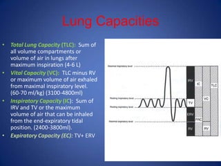 Lung Capacities
• Total Lung Capacity (TLC): Sum of
all volume compartments or
volume of air in lungs after
maximum inspiration (4-6 L)
• Vital Capacity (VC): TLC minus RV
or maximum volume of air exhaled
from maximal inspiratory level.
(60-70 ml/kg) (3100-4800ml)
• Inspiratory Capacity (IC): Sum of
IRV and TV or the maximum
volume of air that can be inhaled
from the end-expiratory tidal
position. (2400-3800ml).
• Expiratory Capacity (EC): TV+ ERV
 