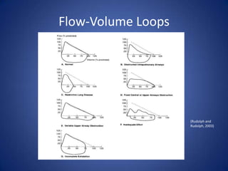 Flow-Volume Loops
(Rudolph and
Rudolph, 2003)
 