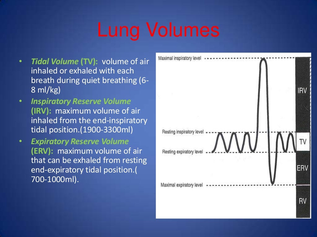 14. pulmonaryfunctiontests