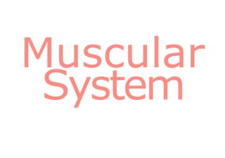 Muscular
System
 