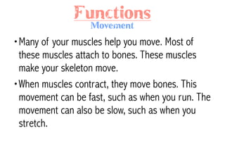 Muscular System | PDF