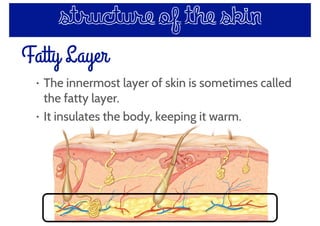 Fatty Layer
structure of the skin
• The innermost layer of skin is sometimes called
the fatty layer.
• It insulates the body, keeping it warm.
 