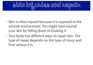 skin injuries and repair
• Skin is often injured because it is exposed to the
outside environment. You might have injured
your skin by falling down or bruising it.
• Your body has different ways to repair skin. The
type of repair depends on the type of injury and
how serious it is.
 