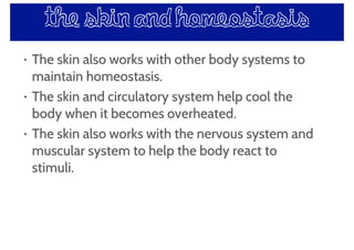 the skin and homeostasis
• The skin also works with other body systems to
maintain homeostasis.
• The skin and circulatory system help cool the
body when it becomes overheated.
• The skin also works with the nervous system and
muscular system to help the body react to
stimuli.
 