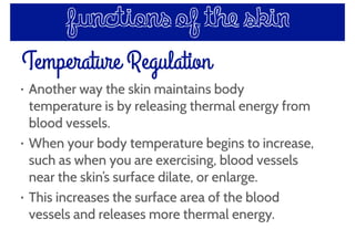 Temperature Regulation
• Another way the skin maintains body
temperature is by releasing thermal energy from
blood vessels.
• When your body temperature begins to increase,
such as when you are exercising, blood vessels
near the skin’s surface dilate, or enlarge.
• This increases the surface area of the blood
vessels and releases more thermal energy.
functions of the skin
 