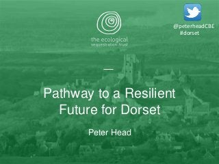 Pathway to a Resilient
Future for Dorset
Peter Head
@peterheadCBE
#dorset
 