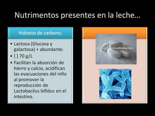 Nutrimentos presentes en la leche…
 