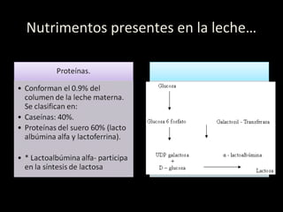 Nutrimentos presentes en la leche…
 