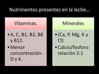 Nutrimentos presentes en la leche…
 