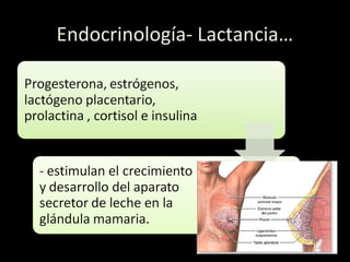 Endocrinología- Lactancia…
 