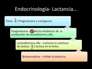 Endocrinología- Lactancia…
 