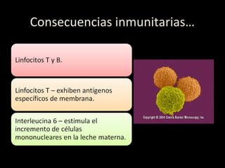 Consecuencias inmunitarias…
 