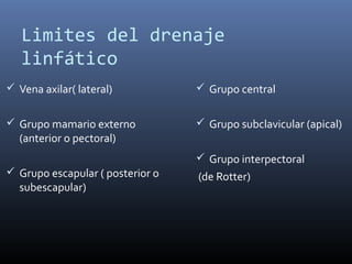 Limites del drenaje
linfático
 Vena axilar( lateral)
 Grupo mamario externo
(anterior o pectoral)
 Grupo escapular ( posterior o
subescapular)
 Grupo central
 Grupo subclavicular (apical)
 Grupo interpectoral
(de Rotter)
 