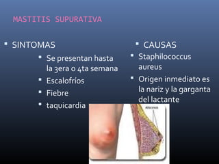 MASTITIS SUPURATIVA
 Se presentan hasta
la 3era o 4ta semana
 Escalofríos
 Fiebre
 taquicardia
 Staphilococcus
aureus
 Origen inmediato es
la nariz y la garganta
del lactante
 SINTOMAS  CAUSAS
 