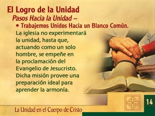 14/28 - .La Unidad en el Cuerpo de Cristo – 28 Enseñanzas Biblicas De ...
