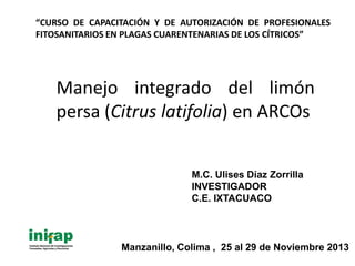 Manejo integrado del limón
persa (Citrus latifolia) en ARCOs
M.C. Ulises Díaz Zorrilla
INVESTIGADOR
C.E. IXTACUACO
Manzanillo, Colima , 25 al 29 de Noviembre 2013
“CURSO DE CAPACITACIÓN Y DE AUTORIZACIÓN DE PROFESIONALES
FITOSANITARIOS EN PLAGAS CUARENTENARIAS DE LOS CÍTRICOS”
 