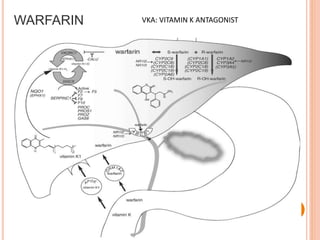 WARFARIN VKA: VITAMIN K ANTAGONIST
 
