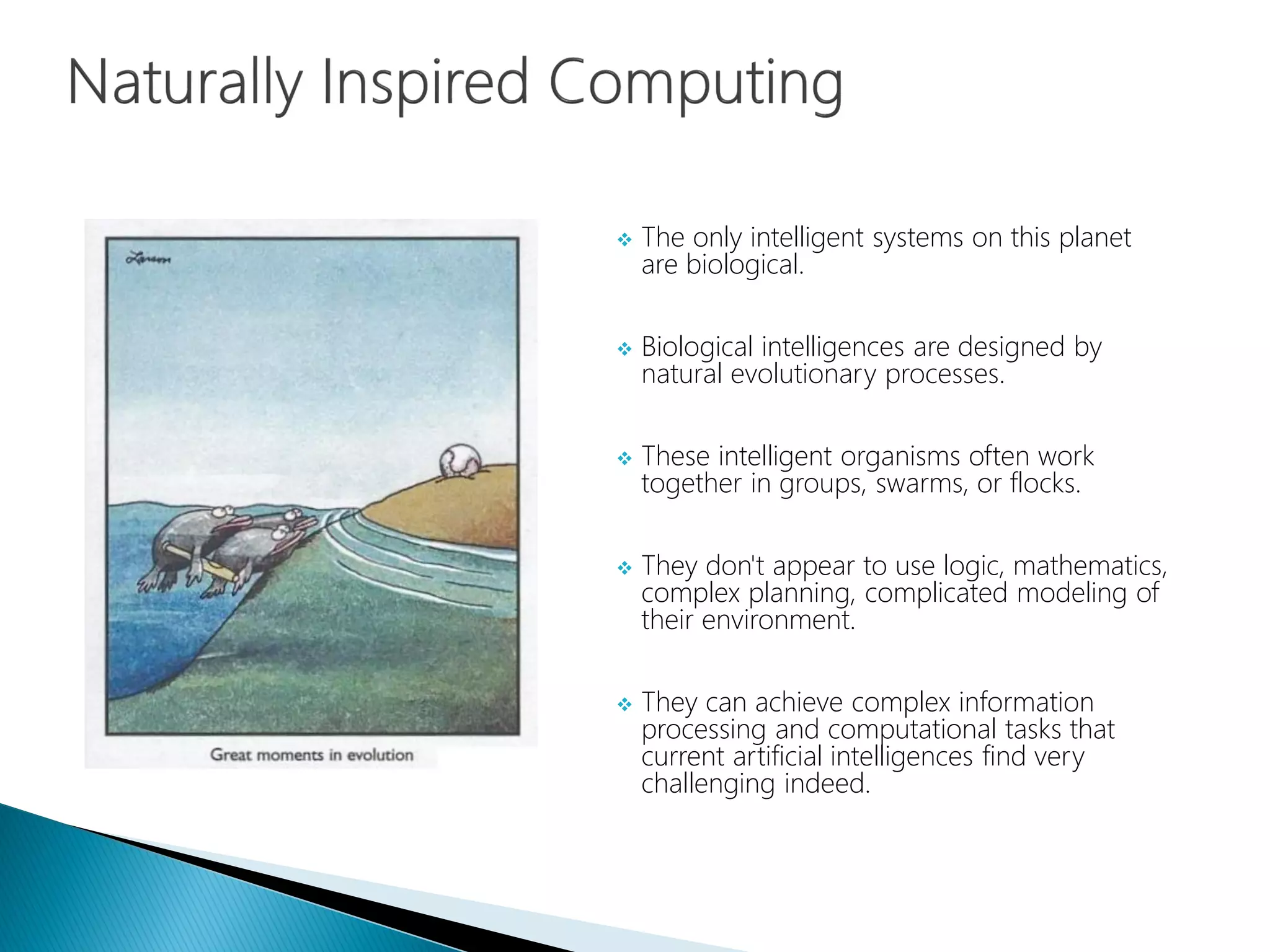  The only intelligent systems on this planet
are biological.
 Biological intelligences are designed by
natural evolutionary processes.
 These intelligent organisms often work
together in groups, swarms, or flocks.
 They don't appear to use logic, mathematics,
complex planning, complicated modeling of
their environment.
 They can achieve complex information
processing and computational tasks that
current artificial intelligences find very
challenging indeed.
 