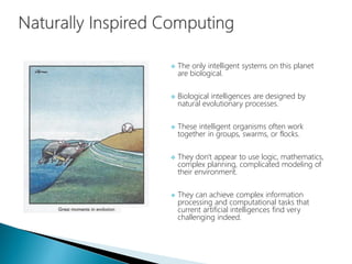  The only intelligent systems on this planet
are biological.
 Biological intelligences are designed by
natural evolutionary processes.
 These intelligent organisms often work
together in groups, swarms, or flocks.
 They don't appear to use logic, mathematics,
complex planning, complicated modeling of
their environment.
 They can achieve complex information
processing and computational tasks that
current artificial intelligences find very
challenging indeed.
 