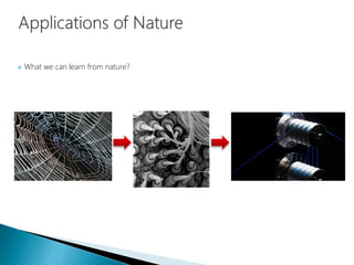  What we can learn from nature?
 