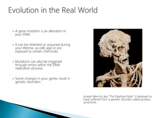  A gene mutation is an alteration in
your DNA.
 It can be inherited or acquired during
your lifetime, as cells age or are
exposed to certain chemicals.
 Mutations can also be triggered
through errors within the DNA
replication process.
 Some changes in your genes result in
genetic disorders.
Joseph Merrick aka “The Elephant Man” is believed to
have suffered from a genetic disorder called proteus
syndrome.
 